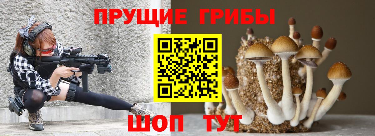 Псилоцибиновые грибы Magic Shrooms  Вход с VPN  Ртищево  Галлюциногенные грибы мухоморы 
